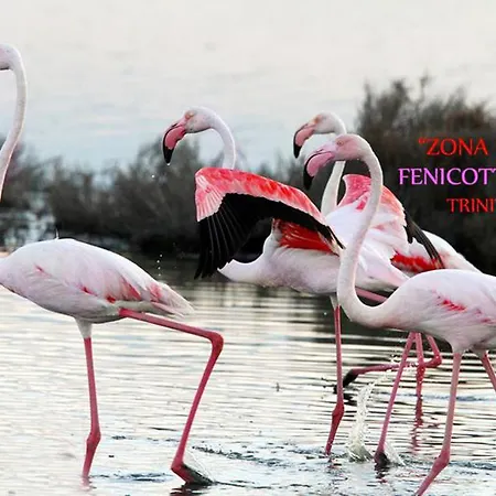 Airone 3* Trinitapoli